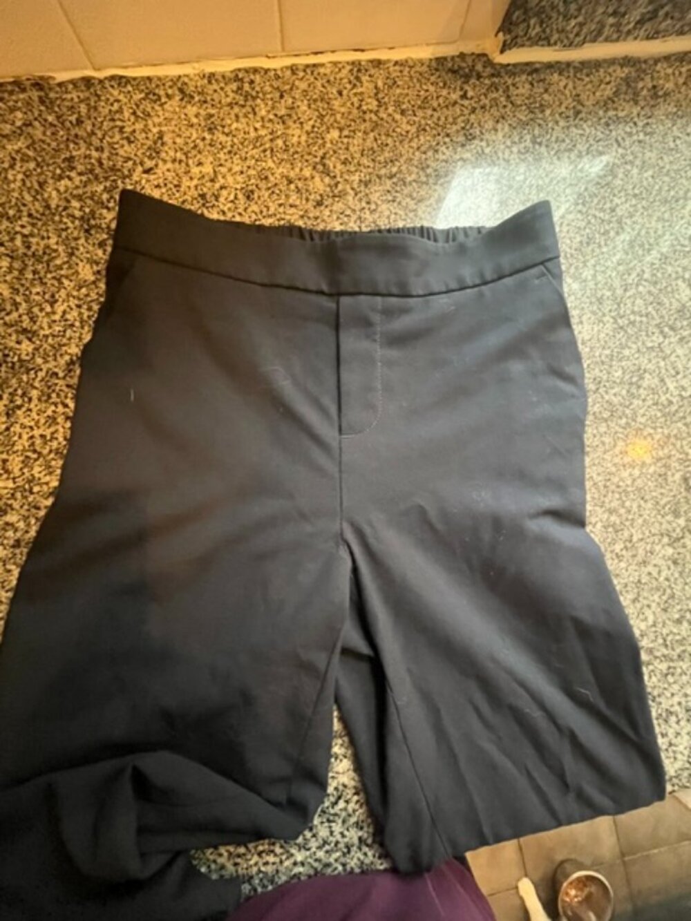 Banana Republic Hayden Navy Blue Pants~Size 2